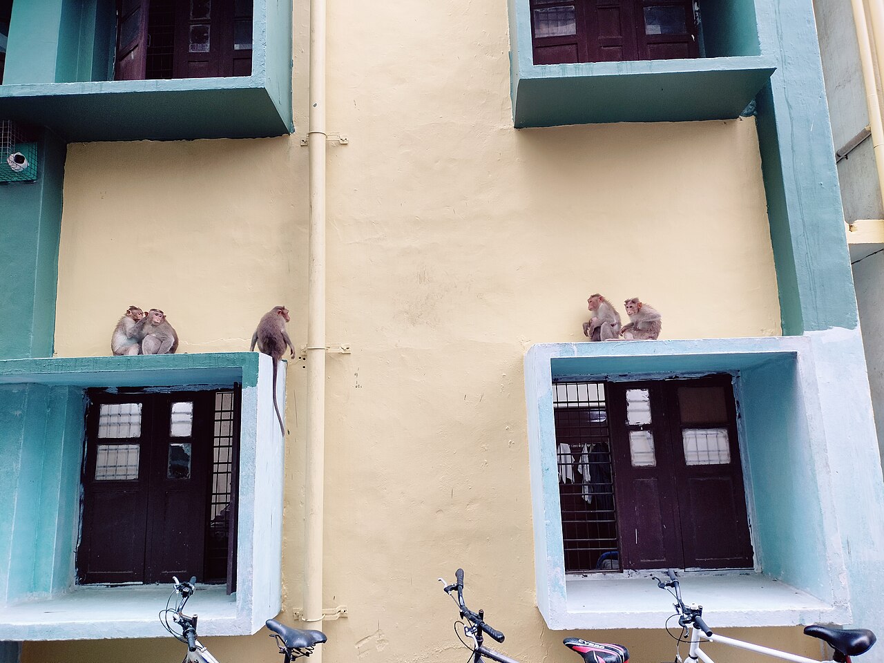 IIT Madras